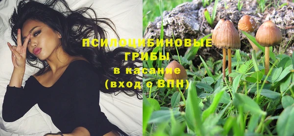 винт Аркадак