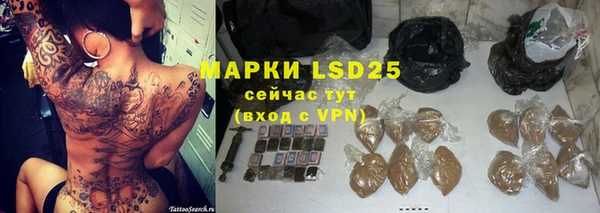 винт Аркадак