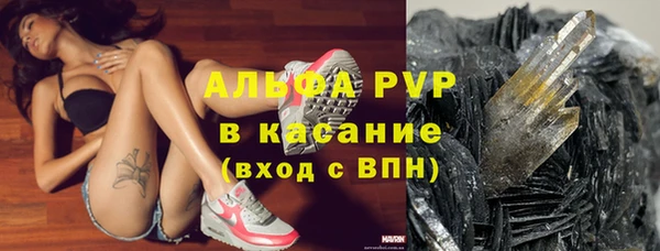 винт Аркадак