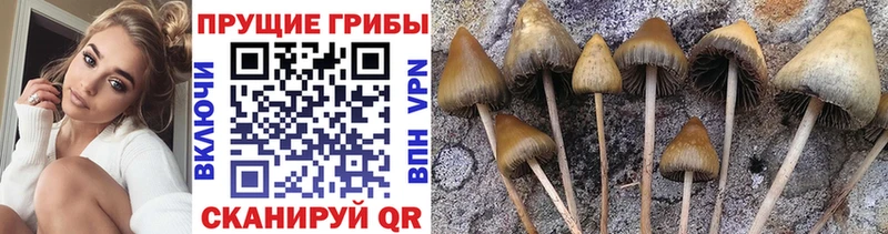 Псилоцибиновые грибы ЛСД  наркошоп  Углич 